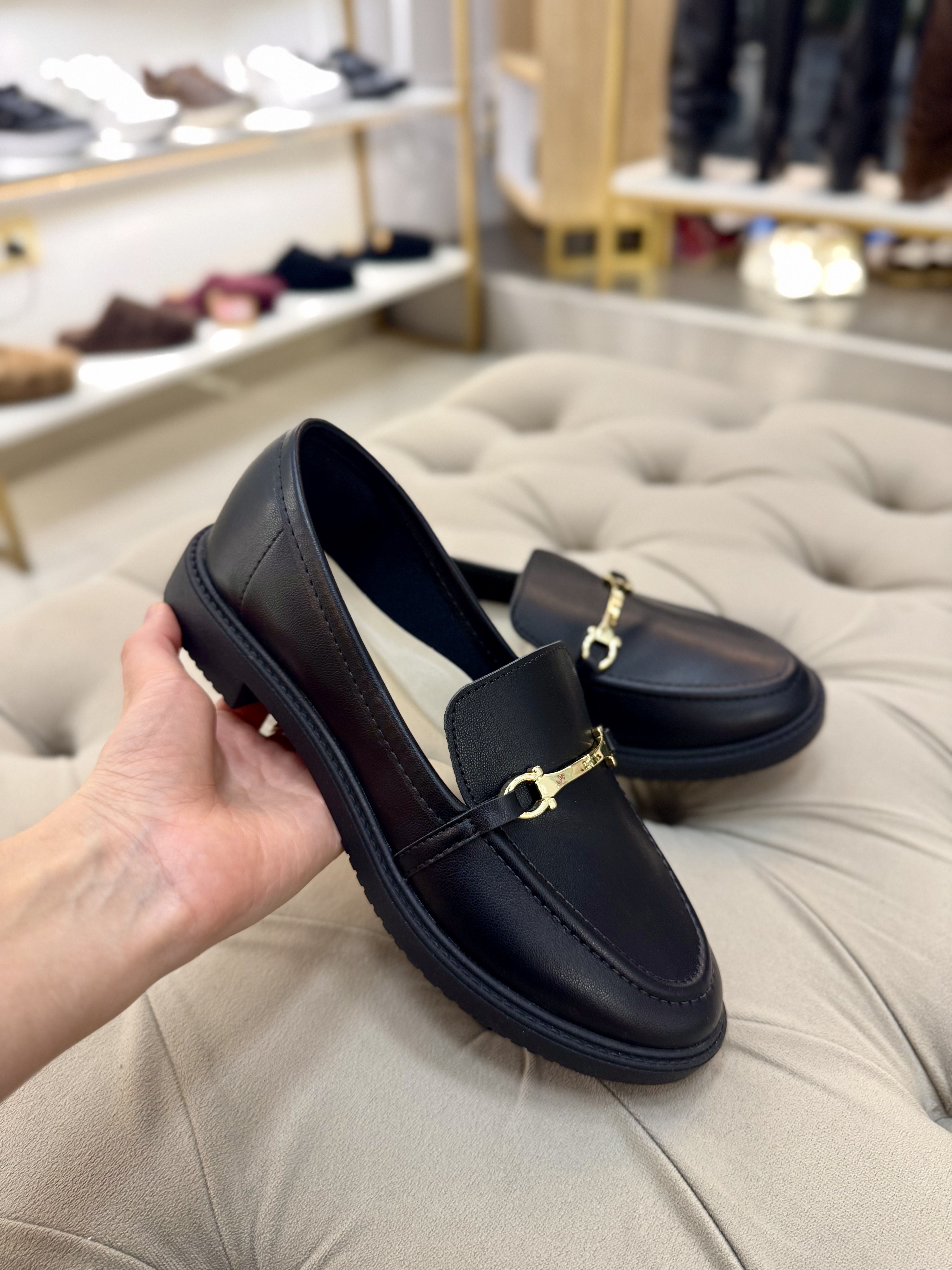 ART 1262 - Moleca